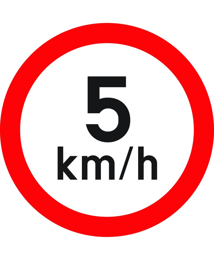 Indicator limita de viteza